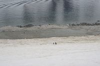 
DSC00068